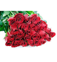Premium Long-Stem Red Roses Bulk