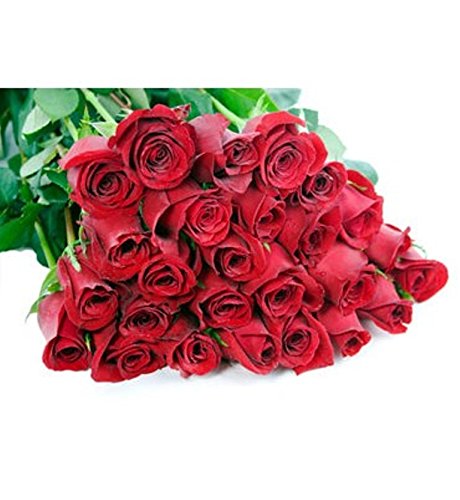 Premium Long-Stem Red Roses Bulk