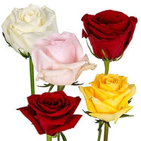 Premium Farm-Direct Assorted Roses (200 Stems)