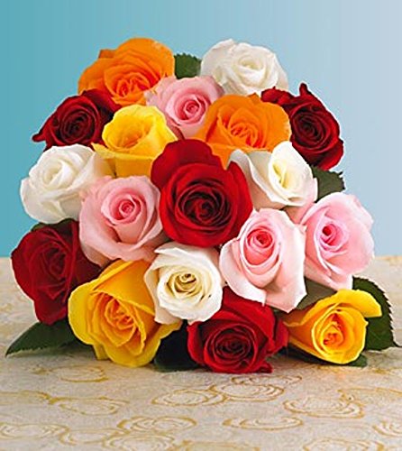 Premium Farm-Direct Assorted Roses (200 Stems)