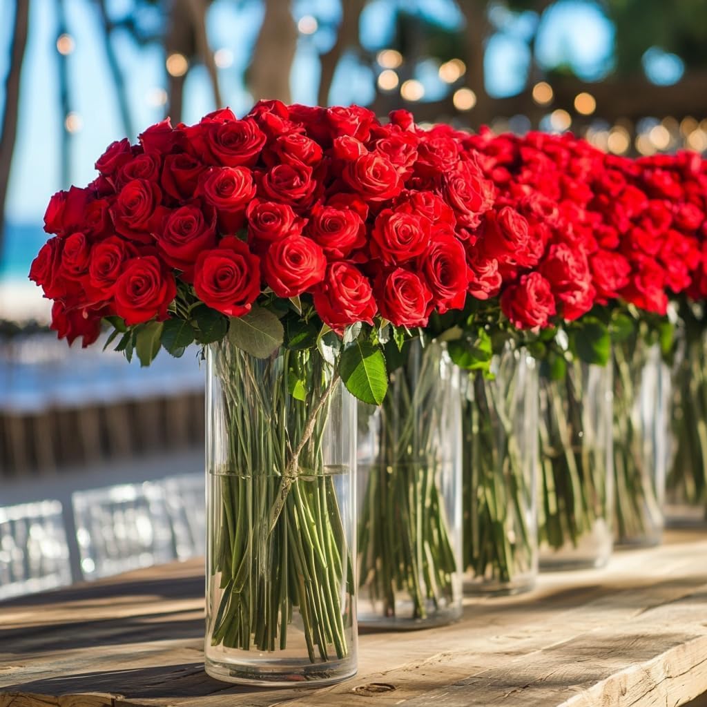 200 Premium Farm-Fresh Red Roses
